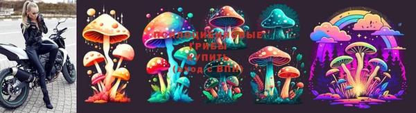гашик Ханты-Мансийск