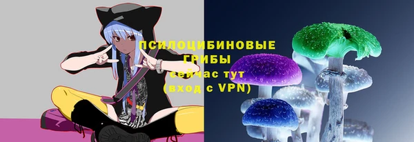 таблы Осташков