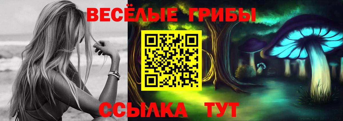 Псилоцибиновые грибы мицелий Большой Камень