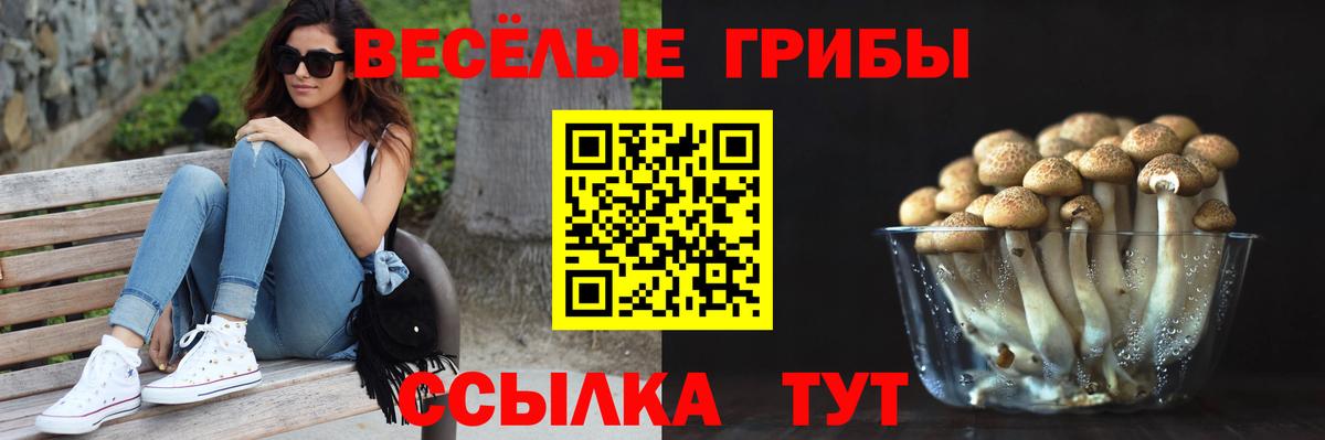 Галлюциногенные грибы ЛСД Большой Камень